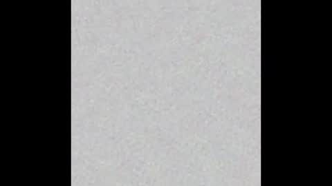 bigguynick113 online show from December 16, 2024, 8:41 am