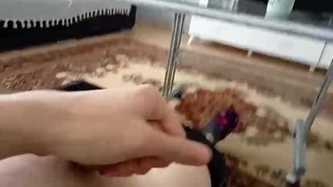 bighardlongdick20cm online show from May 24, 2026, 11:37 am