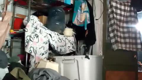 bigmanaround9 online show from October 11, 2025, 9:08 am