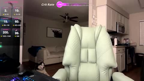 Nick Barker online show from February 3, 2026, 2:53 am