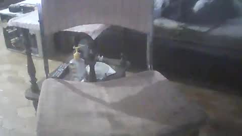 bigpenix online show from April 20, 2026, 11:39 pm