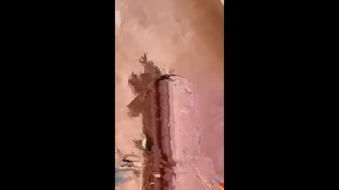 bigpoppa69999 online show from January 16, 2025, 11:26 am