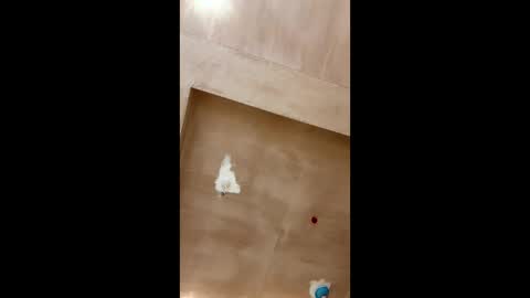 bigpoppa69999 online show from January 16, 2025, 2:30 pm