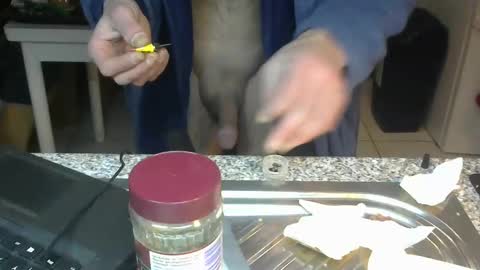 ...... online show from January 22, 2025, 2:37 am