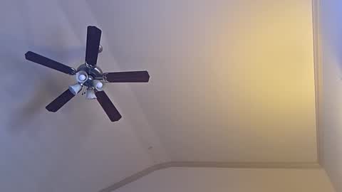 bigswoletroll online show from March 12, 2026, 7:31 pm