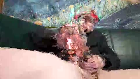 bigwytecock1979 online show from April 19, 2026, 6:32 pm