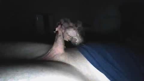 biiiiiiiiiiiiiig_ online show from May 16, 2026, 5:04 am