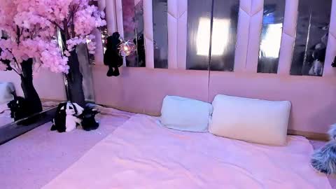 Snapshot of biizzy_noar chatting on May 6, 2026, 5:57 am Biizzy online show from May 6, 2026, 5:57 am