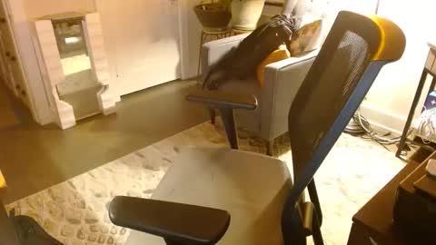 Jeff online show from March 29, 2026, 5:18 am