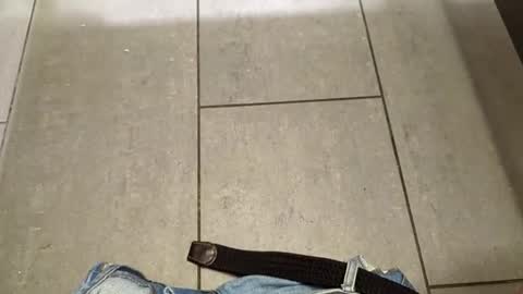 bill42012 online show from April 26, 2026, 2:26 pm