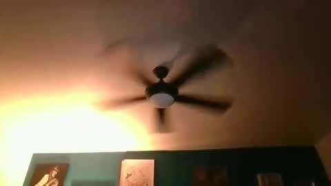 Snapshot of billjames55 chatting on March 14, 2026, 8:42 am billjames55 online show from March 14, 2026, 8:42 am