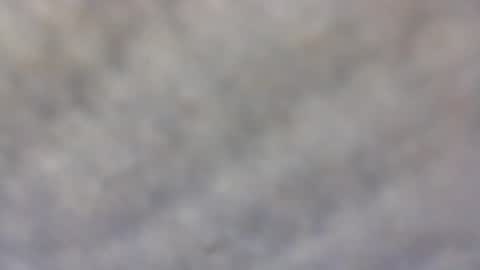 billmenow141 online show from February 11, 2025, 10:04 am