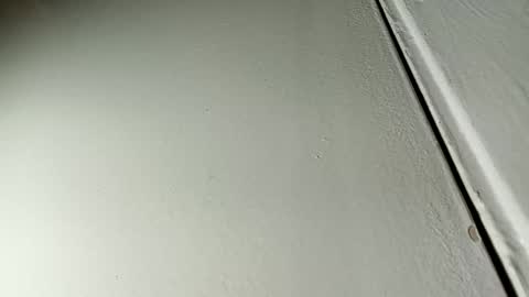 Bill online show from January 19, 2025, 7:36 am