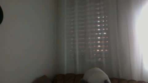 Bill online show from February 16, 2025, 7:59 am