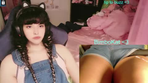 BimboCat online show from July 31, 2026, 9:58 pm