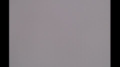 bivi  hot online show from January 8, 2025, 1:31 pm