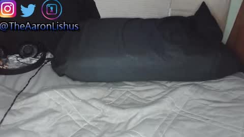 bizarre99 online show from January 13, 2025, 5:12 am