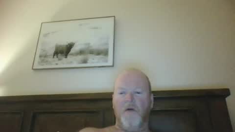 black_n_white4 online show from July 17, 2026, 11:28 am