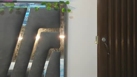 B L A C K  R O S E  online show from January 30, 2025, 11:33 am