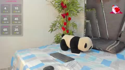 B L A C K  R O S E  online show from February 26, 2025, 11:41 am