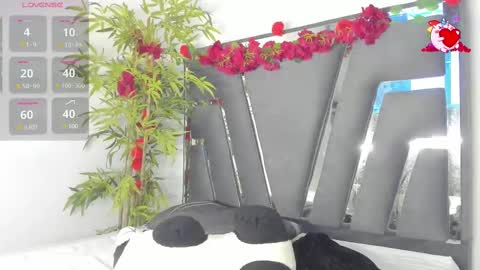 B L A C K  R O S E  online show from March 6, 2025, 11:47 am