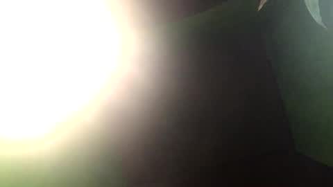 Crystal online show from December 27, 2024, 1:50 pm