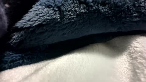 blackhammer8787 online show from December 8, 2024, 6:43 am