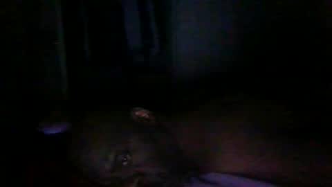 Snapshot of blackteddybear chatting on March 9, 2026, 12:58 am blackteddybear online show from March 9, 2026, 12:58 am