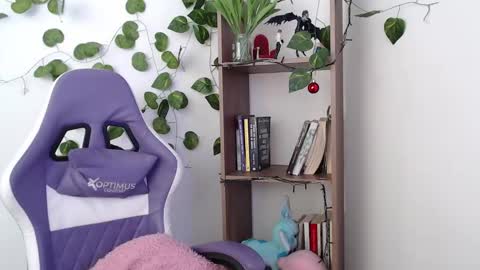   online show from February 19, 2025, 4:11 pm