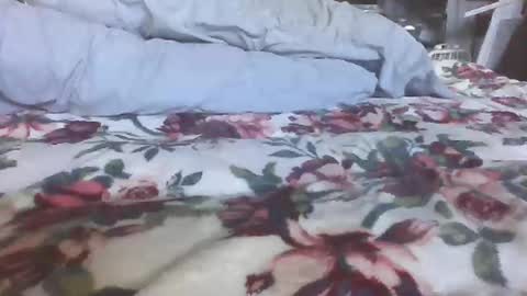 blame1269 online show from October 27, 2025, 7:07 pm