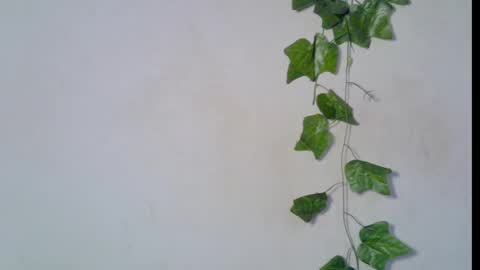 nikky00 online show from March 8, 2026, 6:50 am