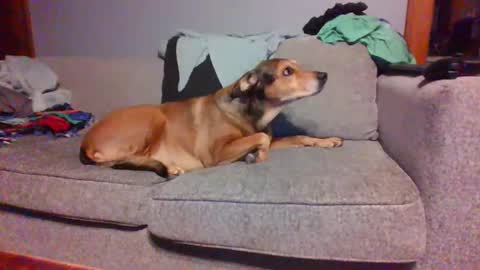 blaw_1321 online show from March 8, 2025, 5:59 am