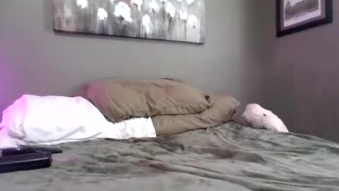 blazeentertainment2025 online show from February 21, 2026, 6:09 pm