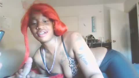 blknoranged33 online show from April 25, 2026, 11:46 pm