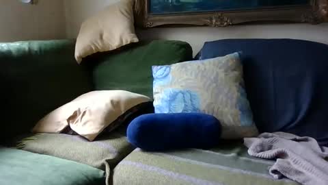 blomkuk online show from October 25, 2025, 11:51 am