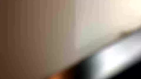 Snapshot of blue_cum_bunny123 chatting on July 16, 2026, 4:07 am blue_cum_bunny123 online show from July 16, 2026, 4:07 am