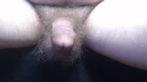 bluebee420 online show from November 13, 2025, 10:36 am