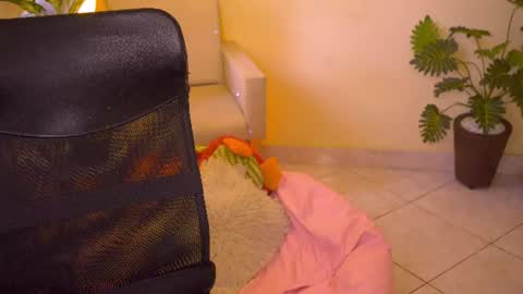 FLORAA online show from June 13, 2026, 3:54 pm