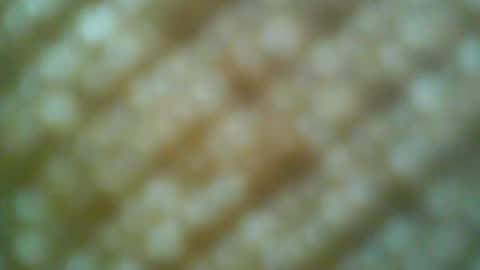 Snapshot of boatman00769 chatting on May 31, 2026, 6:31 pm Motto Motto online show from May 31, 2026, 6:31 pm