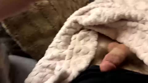 bobdillon401 online show from January 10, 2025, 6:20 am