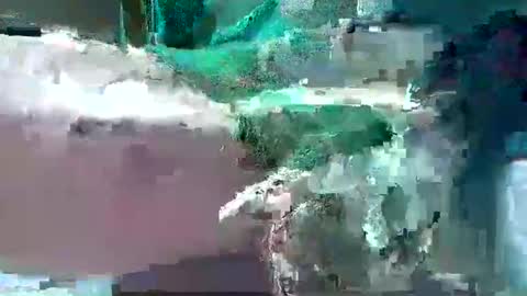 bogey58 online show from February 12, 2025, 4:11 pm