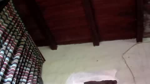bokeronconganas online show from June 3, 2026, 2:33 pm