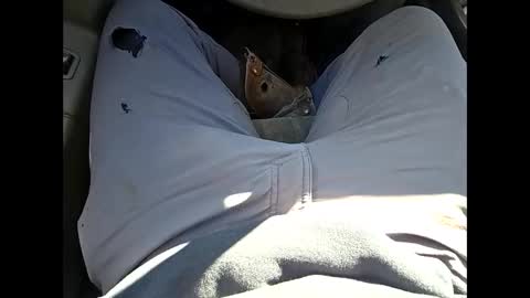 bombinshaman online show from January 12, 2026, 4:34 pm