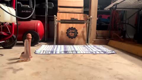 FRECKLES online show from January 16, 2025, 1:37 am