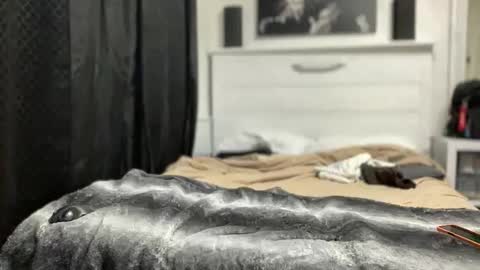 boner4you1994 online show from April 19, 2026, 4:23 am