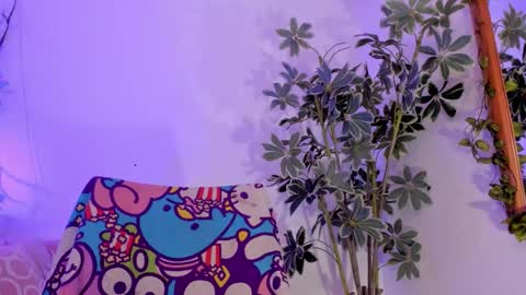   online show from January 11, 2026, 11:54 pm