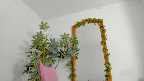   online show from February 25, 2026, 11:36 pm