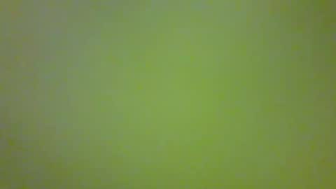 Snapshot of bonniediamond chatting on October 30, 2025, 6:52 pm bonniediamond online show from October 30, 2025, 6:52 pm