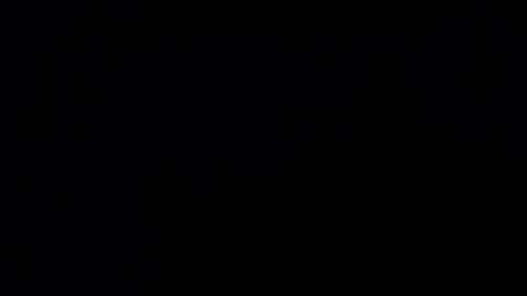 Soffy Brooks Independent model online show from December 12, 2024, 8:47 am