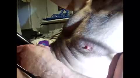 Snapshot of bonop1 chatting on March 19, 2026, 10:19 am bonop1 online show from March 19, 2026, 10:19 am